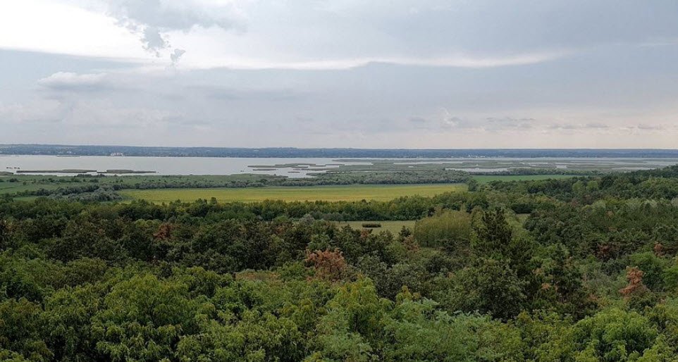 Pákozdi Pagony Vadaspark és Arborétum, Hungary